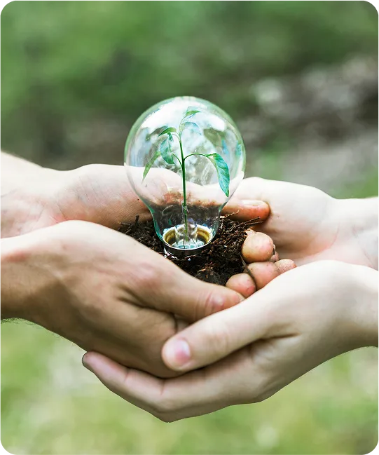 Eco-Friendly Commitment — Responsible Landscaping Waste Disposal