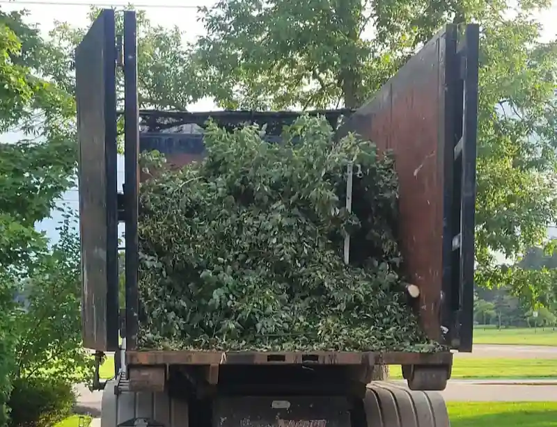 Truck Image