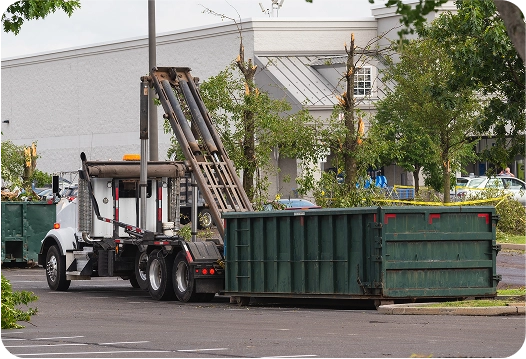 Pick-Up and Disposal