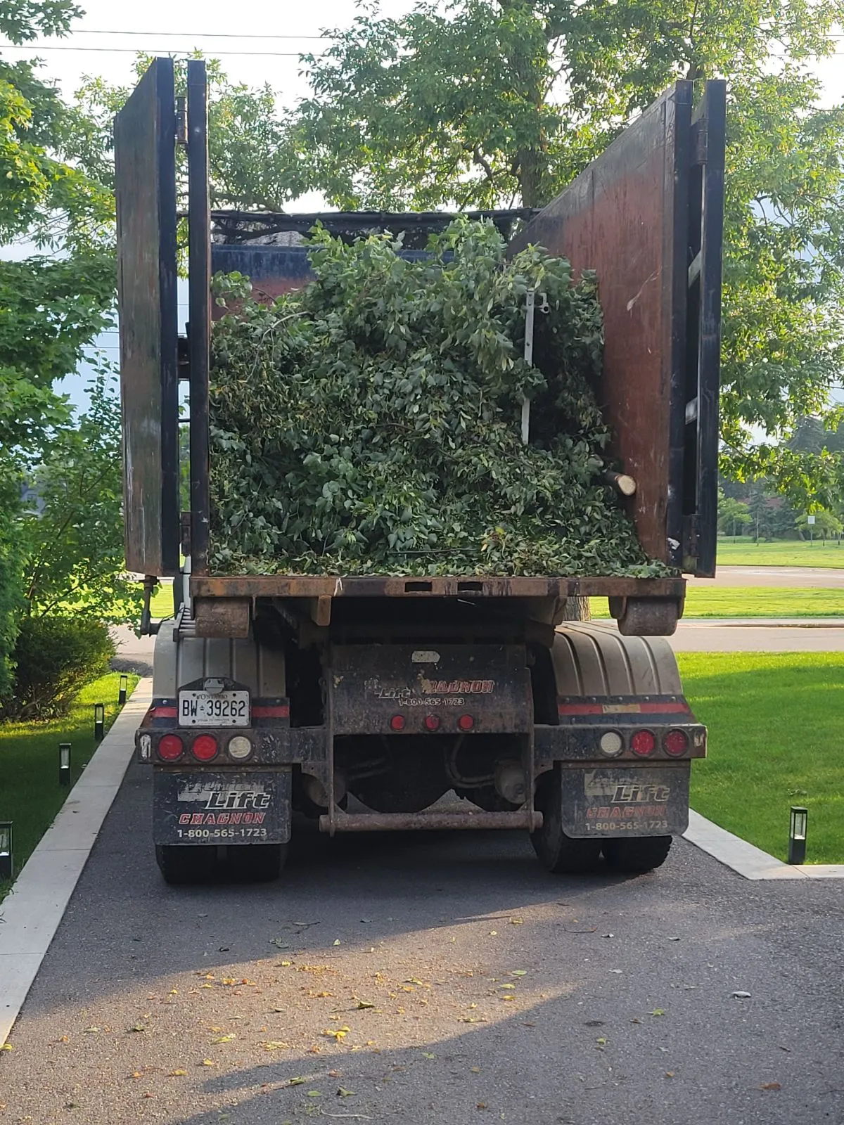Rear view of a roll-off truck on a residential driveway loaded with green yard waste and branches